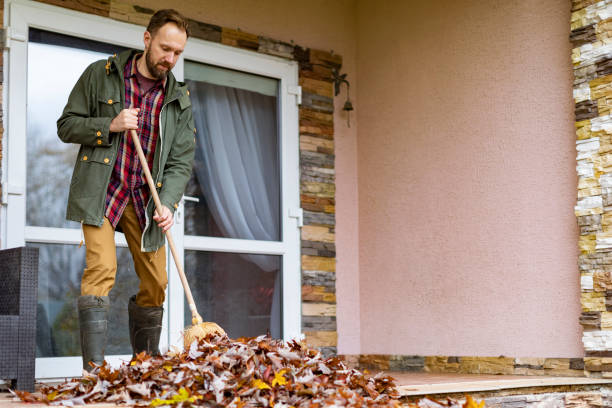 Professional Junk Removal in Valley Center, CA